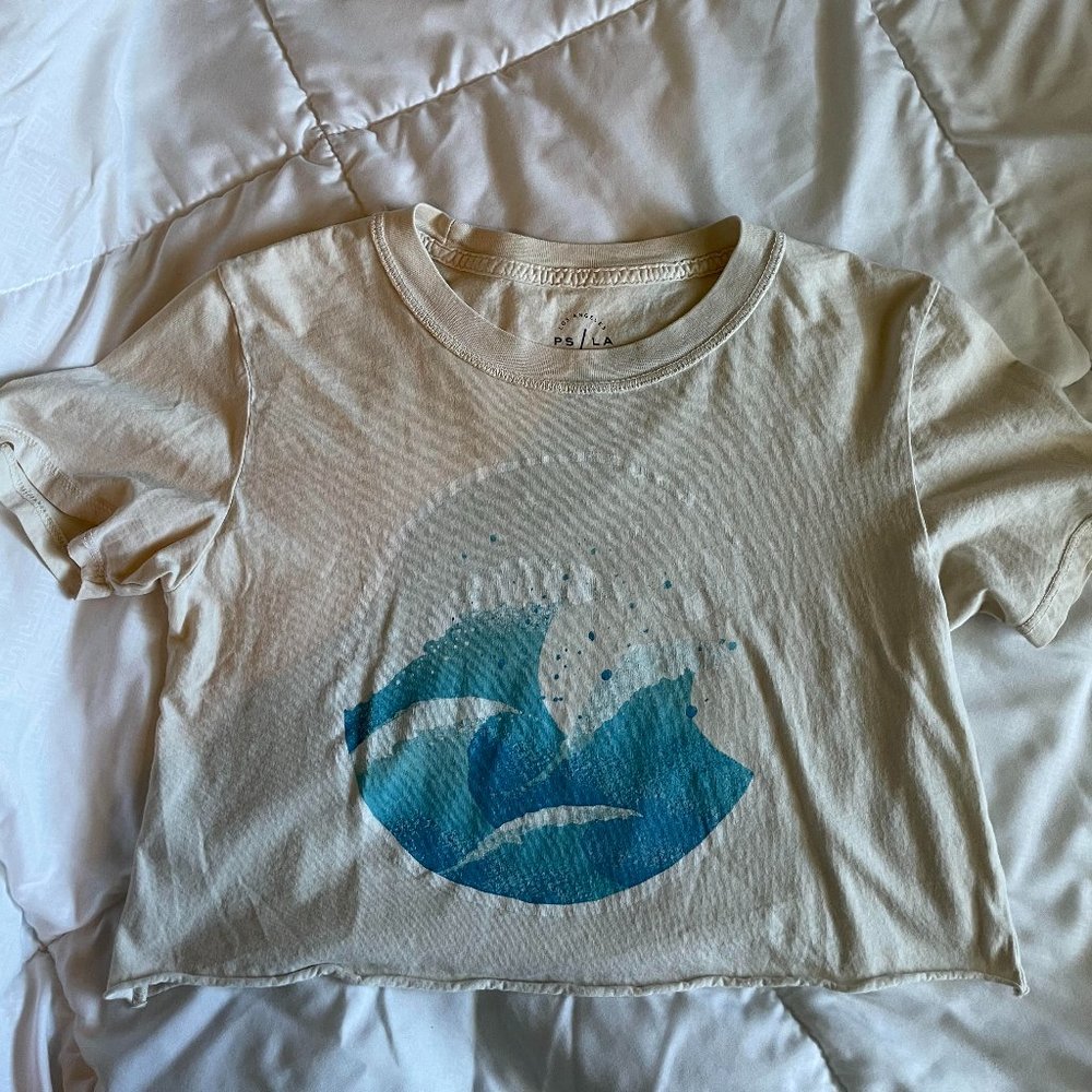 PacSun, XS, Cropped T-Shirt